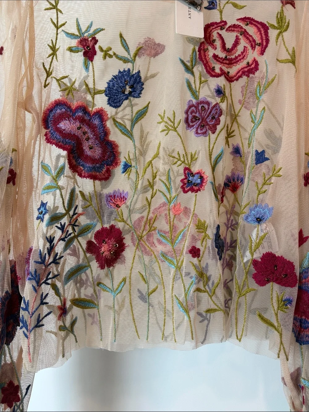 Anthropologie Cream Sheer Floral Embroidered Blouse